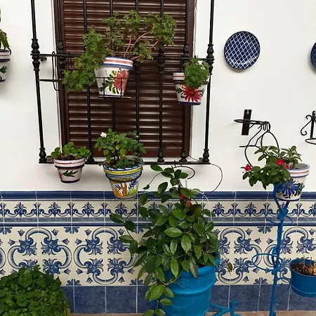 홈스테이 Patio Rociero *